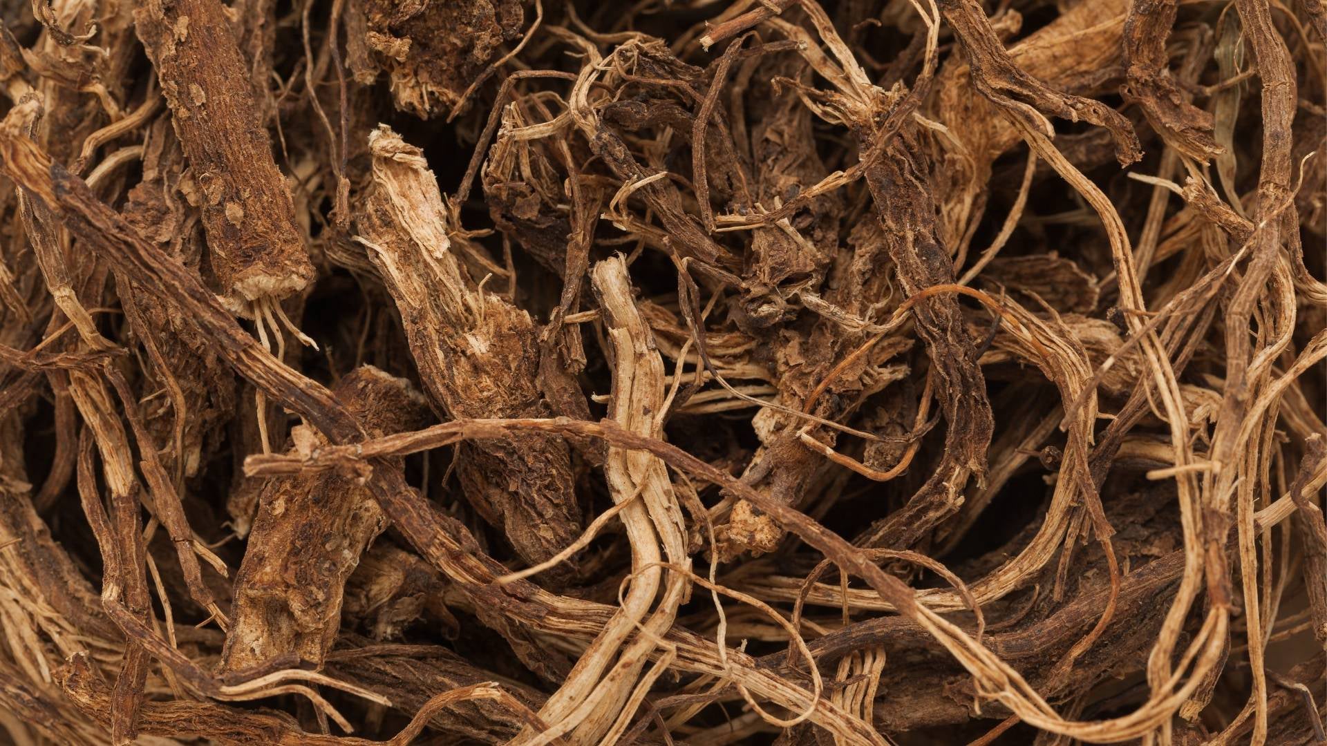 Coleus Forskohlii Root Extract